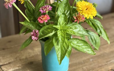 Holistic Homemaking Post 1